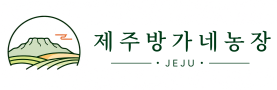 제주애플망고 미니 왕미니 애플망고 1kg, 2kg