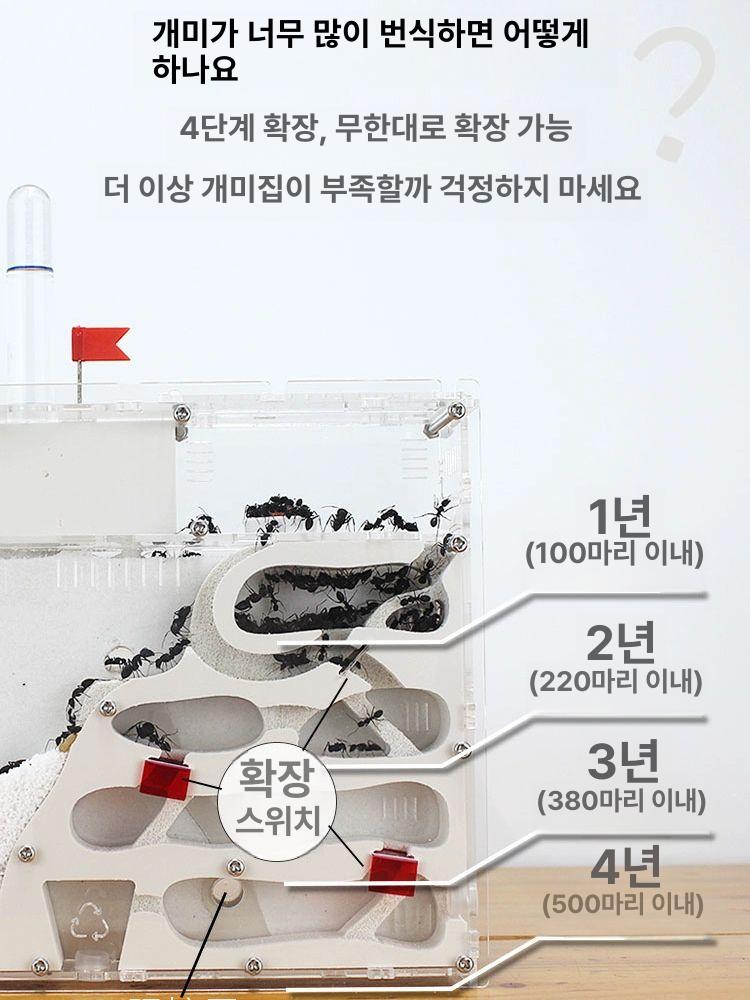 대형 사육장 아크릴 은신처 양면투명 키우기 실내 관상용 화이트 - 상세 이미지 5