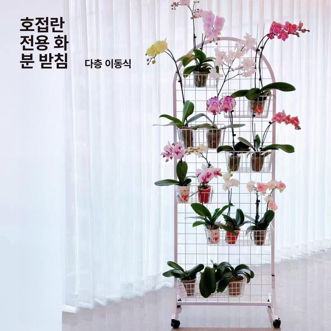 철제 바퀴달린선반 네트망 진열대 이동식 철망거치대 매대 노점 디스플레이 걸이대 - 상세 이미지 2