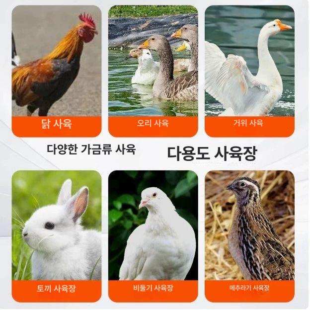 야외 닭장 철제 가정용 하우스 닭집 메추리 조류 닭사육장 오리 농촌 가축 토끼집 - 상세 이미지 5