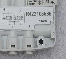 R422103585 신 오리지널
