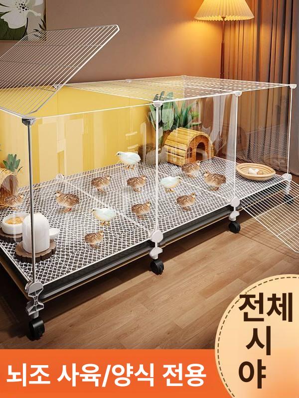 미니 사육장 케이지 모이통 병아리 메추리집 새장 닭집 박스 투명 - 상세 이미지 3