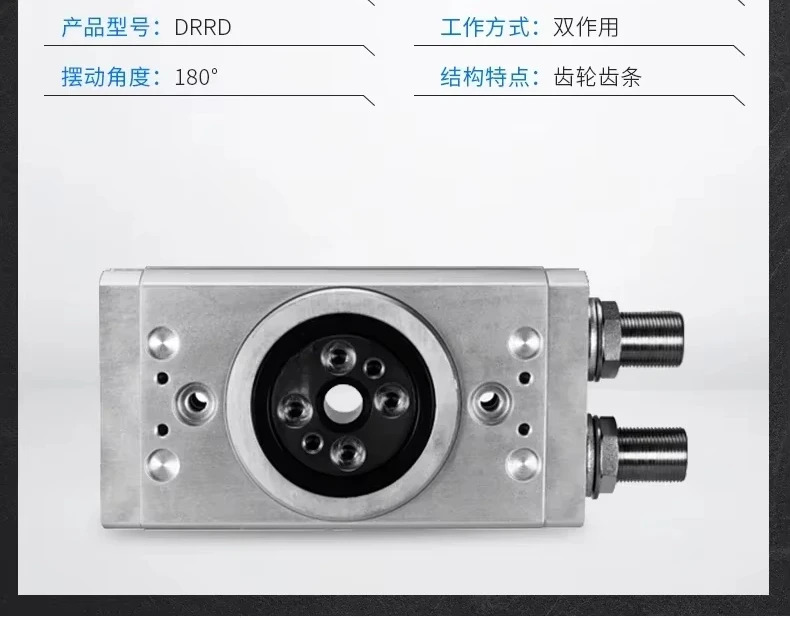 로터리 실린더 DRRD-12-16-20-25-32-35-40-180-FH-Y9A-PA