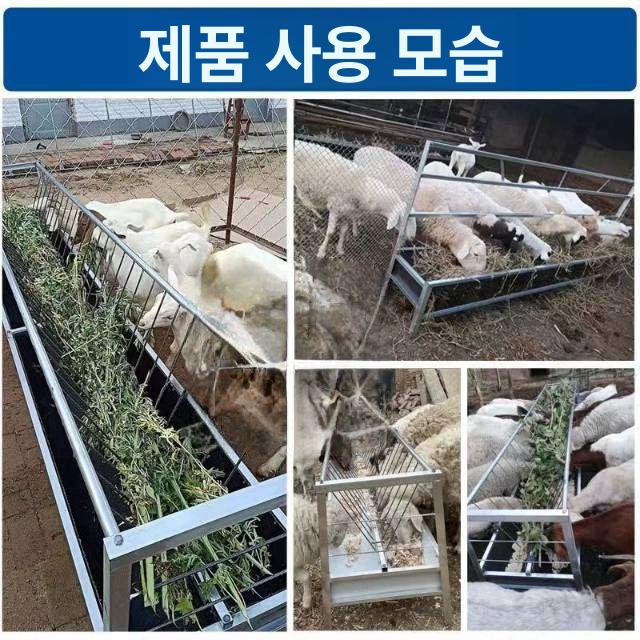 스테인리스 사료통 대형 농장 물통 건초 스테인레스 염소먹이통 송아지 급여기 축산 - 상세 이미지 3