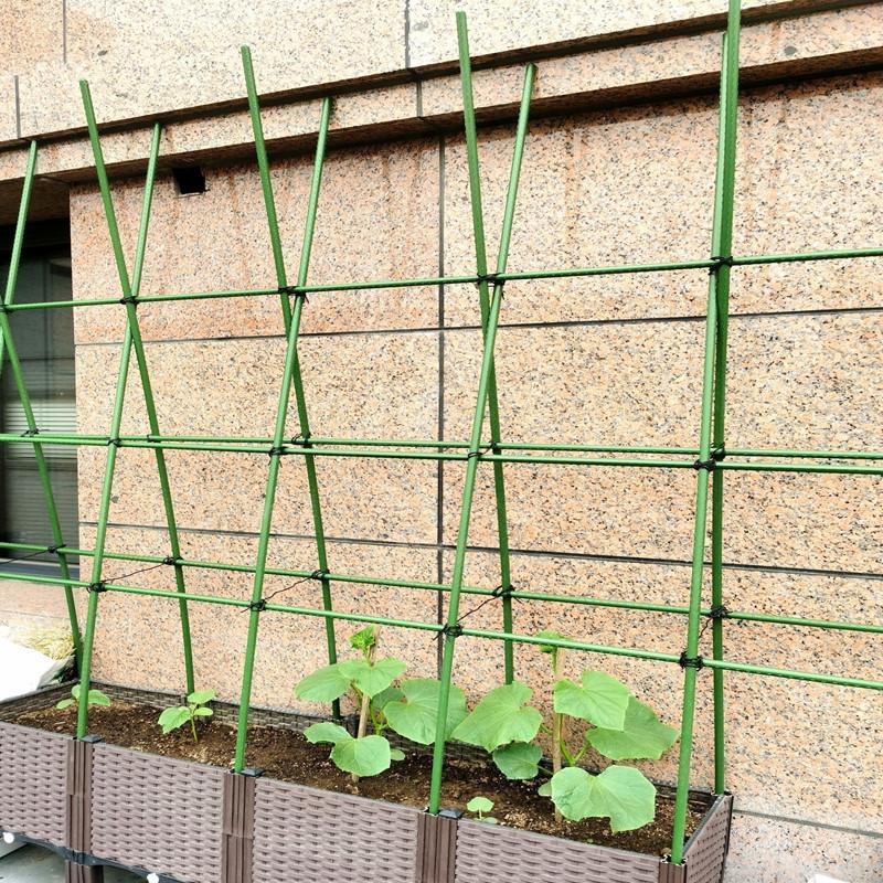 오이 포도 지지대 지주대 파이프 농업용 활대 강선 폴대 텃밭 조립식 - 상세 이미지 2