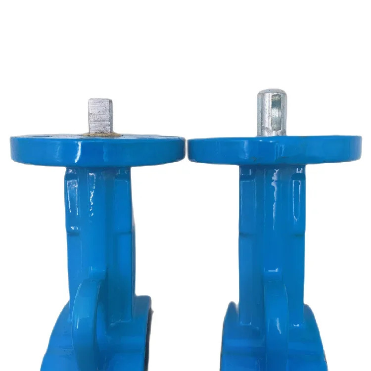 헤드리스 PTFE 버터플라이 밸브 스테인리스 스틸 플레이트 공압 전기 특수 매칭 DN50 65 80 100 125