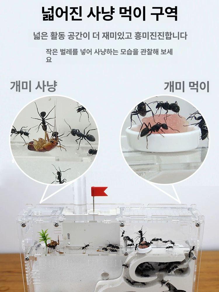 대형 사육장 아크릴 은신처 양면투명 키우기 실내 관상용 화이트 - 상세 이미지 4