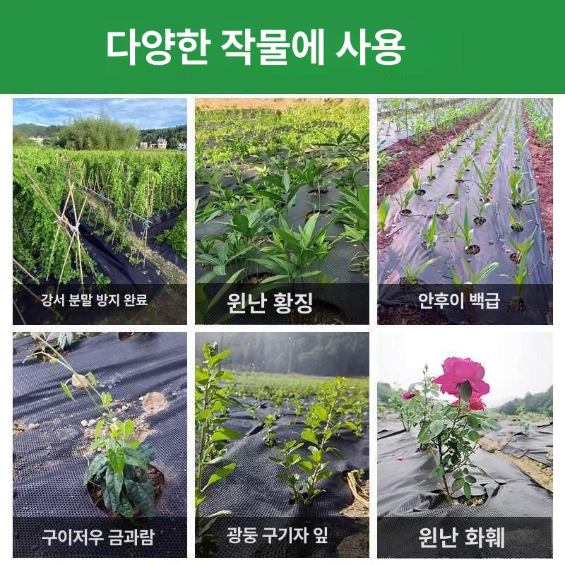 농업용 멀칭포 농사용 유공부직포 덮개 방초포 텃밭용 제초포 잡초방지 원예용 잔디 - 상세 이미지 4