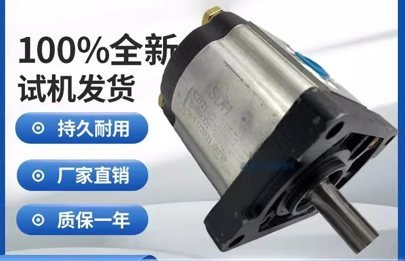 SDH 고압 기어 펌프 CBTt-F304 306 310 314 316 320 325F3P7-6