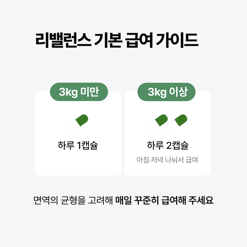 야옹섬 고양이 영양제 염증 리밸런스 구내염 췌장염 신부전관리 2개월 면역력, 60캡슐, 1개 이미지 7