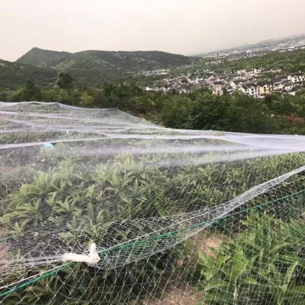 농사용그물망 텃밭 고추망 농업용 블루베리 과수원 채소 방조망 농업 울타리 - 상세 이미지 2