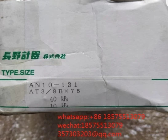 나가노 케이키 AN10-131 6756807 압력 게이지
