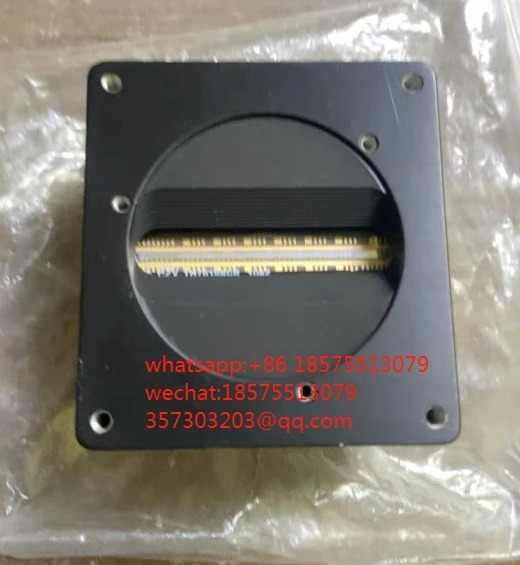 iiVA EV71YSM2CL2014-BA3 산업카메라