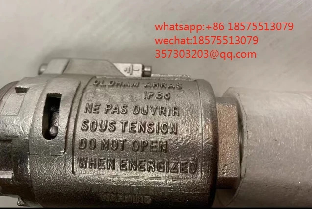 OLDHAM ARRAS OLCT20d 센서 프로브