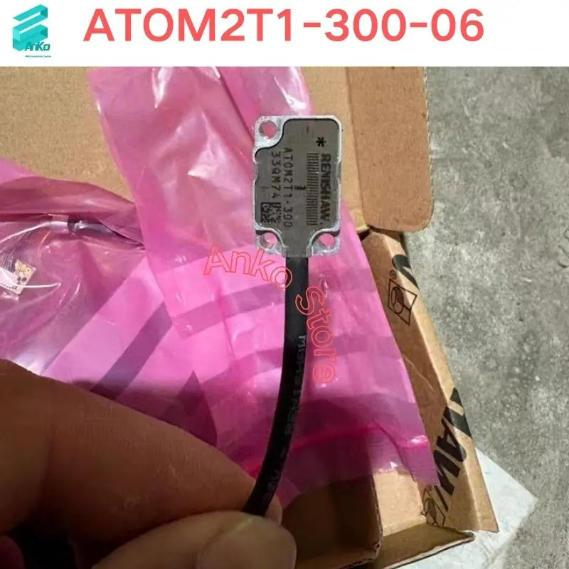 헤드 ATOM2T1-300-06