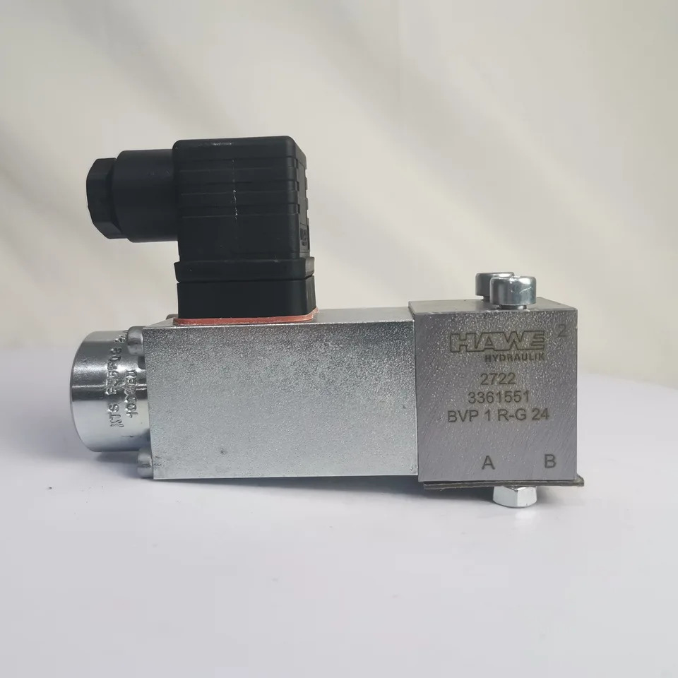 BVP HAWE 방향 착석 밸브 BVP1R-0.8-G24
