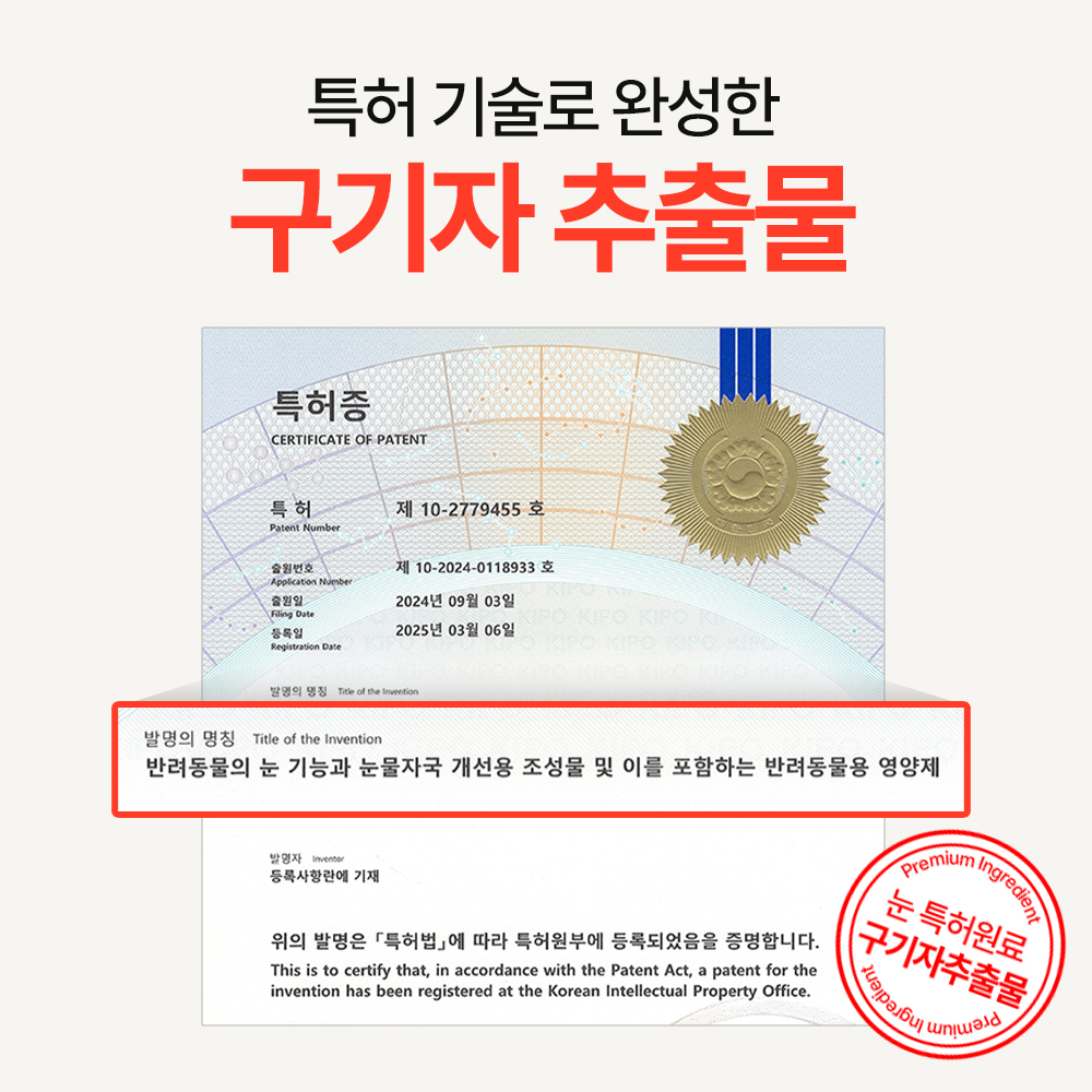 펫생각 리얼루테인 강아지 눈 영양제 눈물 자국 눈꼽 건강 냄새 착색 충혈 60정, 1개 이미지 6