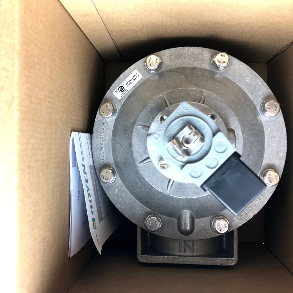 CA62T 펄스 제트 밸브 G2 1/2 인치 GOYEN 62mm 알루미늄 다이캐스트 바디 5-125 psi 압력