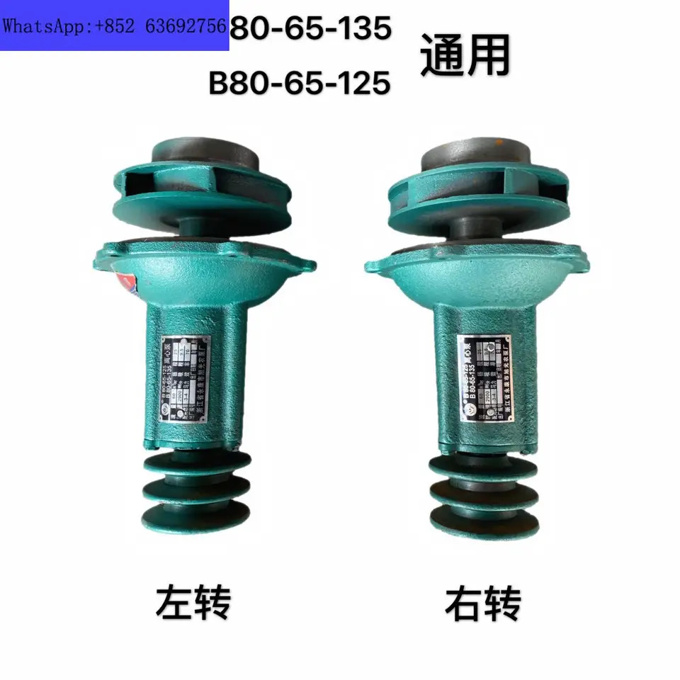 해양 B80-65-135 원심 펌프 헤드 Yongkang B80-65-125 범해양 농업워터펌프