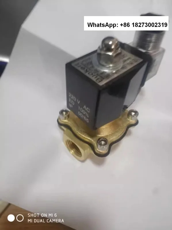 전자기 밸브 워터 비 누출 방지정상 플라스틱 밀봉 구리 와이어 코일 AC220V