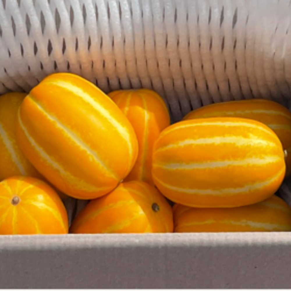 퍼스트프레시 산지직송 고당도 성주 참외 로얄과 (7과수내외), 2kg, 1개 - 상품 이미지