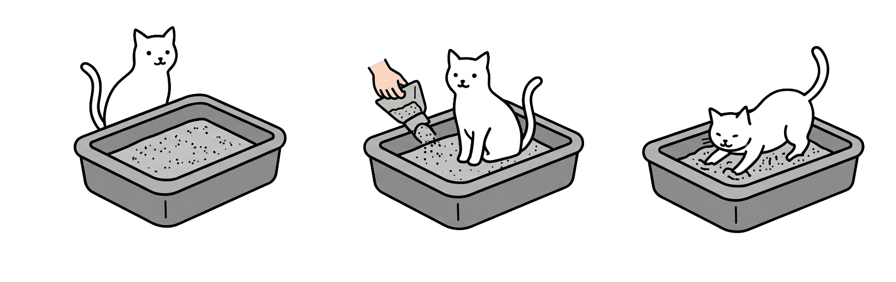 고양이 화장실 탈취 참숯 냄새제거 차콜프레시 그레인 40g, 30개 - 상세 이미지 4
