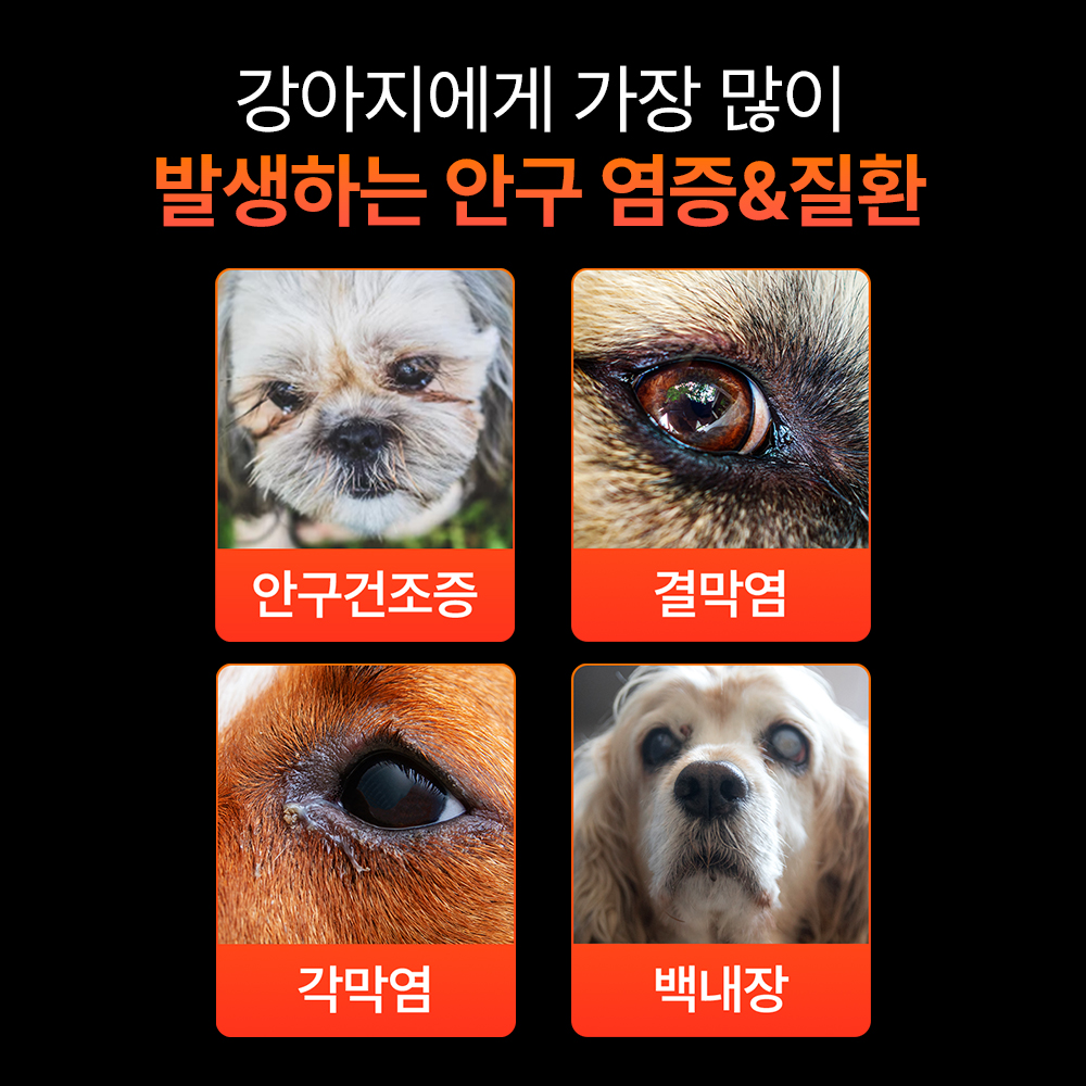 펫생각 리얼루테인 강아지 눈 영양제 눈물 자국 눈꼽 건강 냄새 착색 충혈 60정, 1개 - 상세 이미지 4