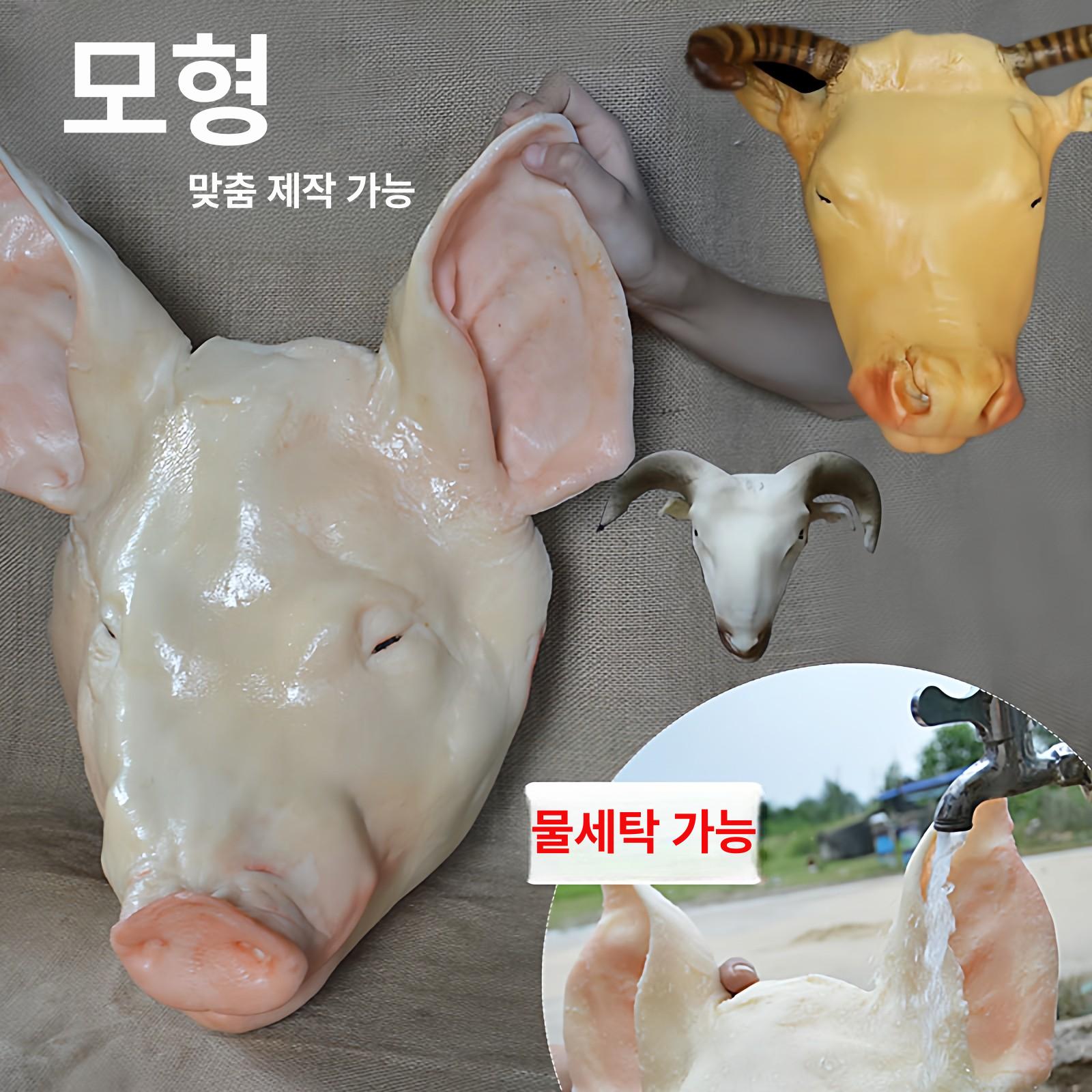 장식품 가짜돼지머리모형 전시 창업 고사 개업 조형물 촬영소품 조각상 음식점 - 상세 이미지 3