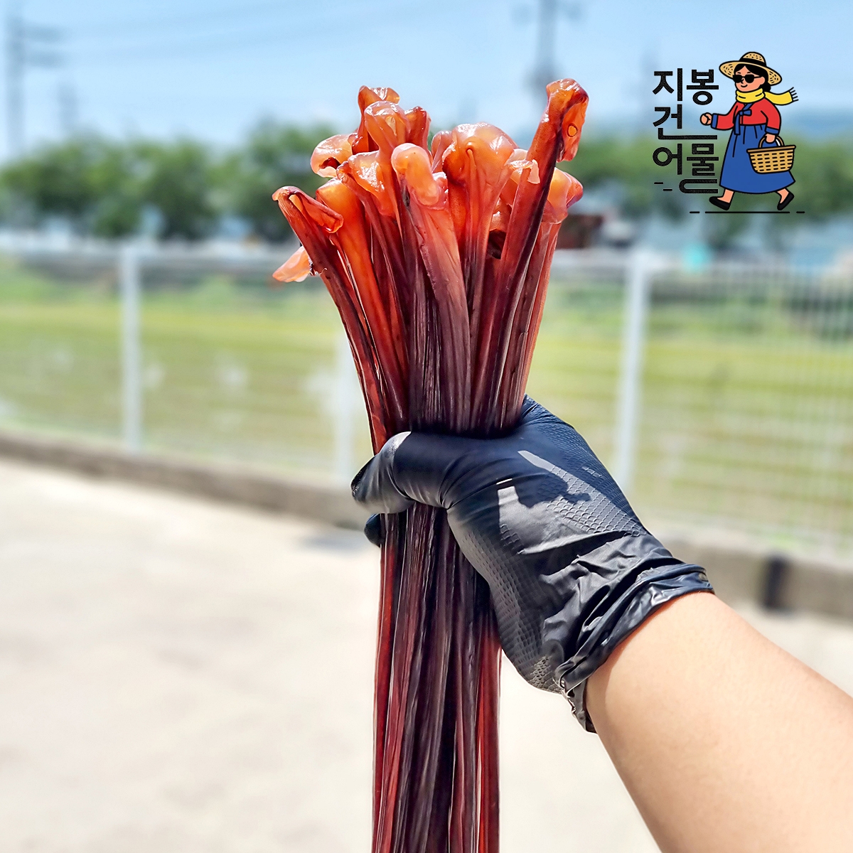 말랑 오징어 장족 500g 가문어 통족 문어다리 문어발 대왕오징어다리