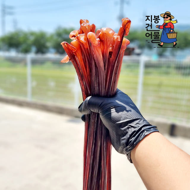 말랑 오징어 장족 500g 가문어 통족 문어다리 문어발 대왕오징어다리 — 어떤 상황에서 유용하게 쓸 수 있을까요?