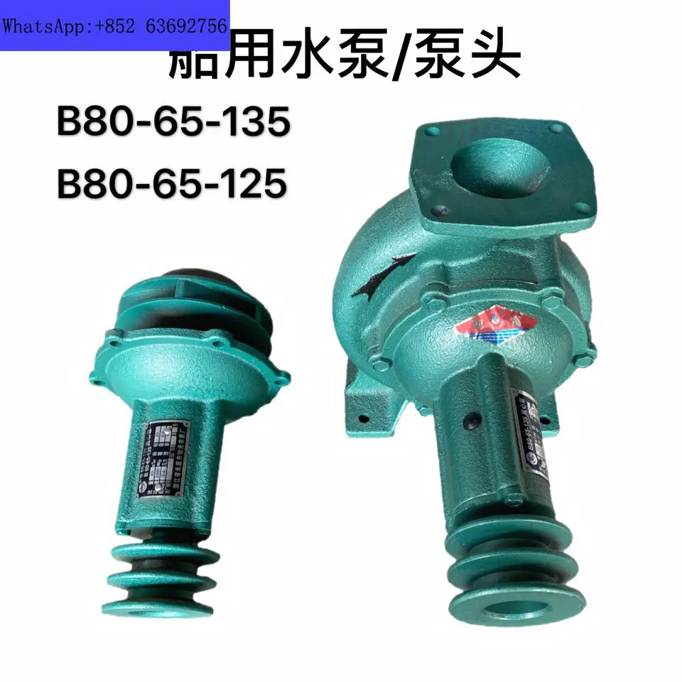 해양 B80-65-135 원심 펌프 헤드 Yongkang B80-65-125 범해양 농업워터펌프