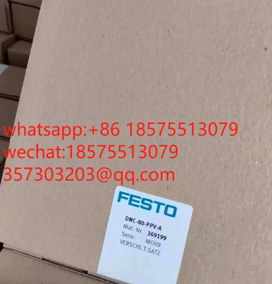 FESTO DNC-50-PPVA DNC-63-PPVA DNC-80-PPVA DNC-100-PPVA DNC-125-PPVA 실린더 수리 패키지 DNC 도장