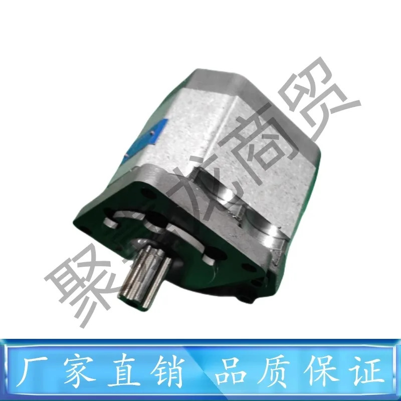 HCHC BLHL 기어 오일 펌프 CBNZQ-F520 F525 F532 F540 F550 F563