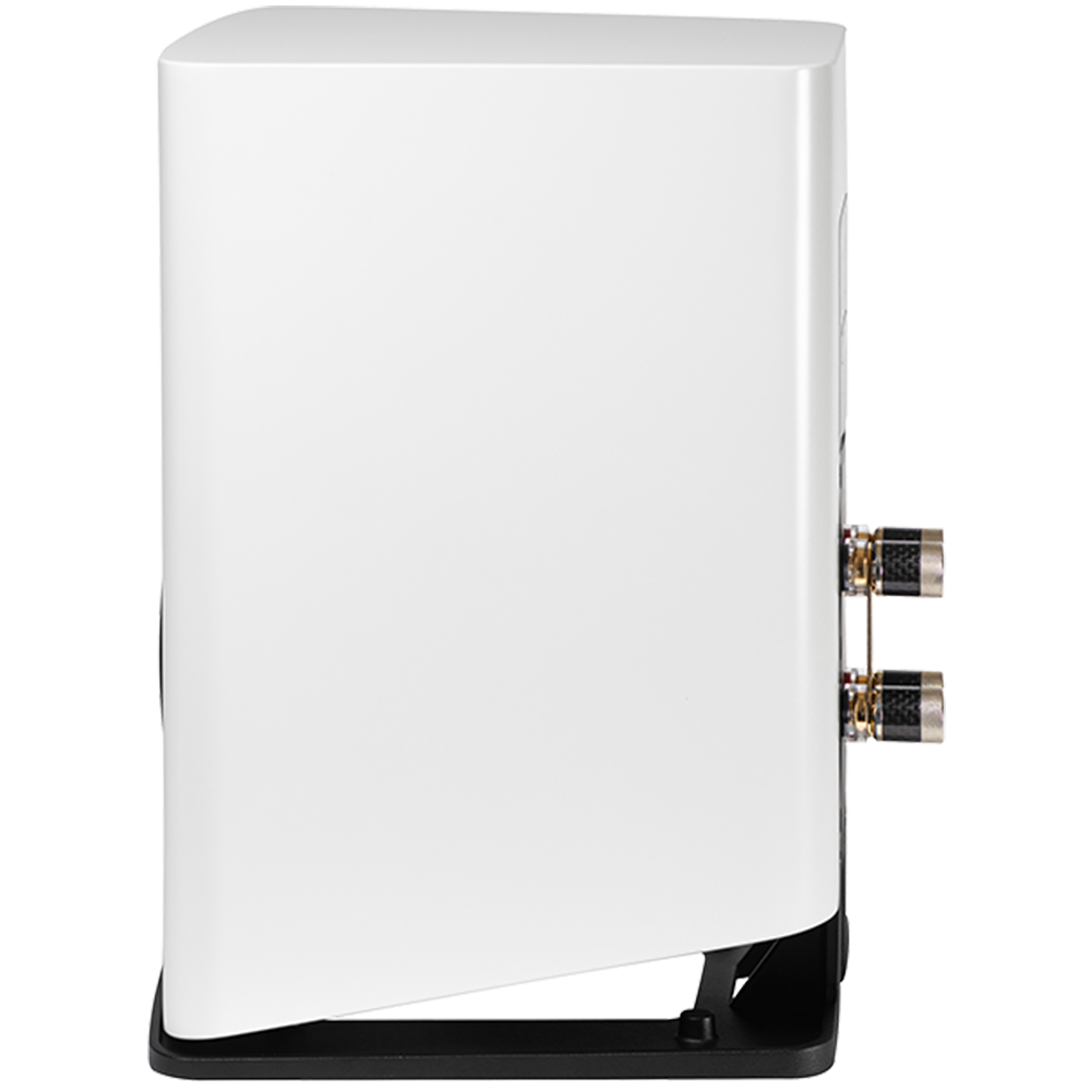엘락 카리나 BS 243.4 ELAC Carina  북쉘프스피커 - 상세 이미지 3
