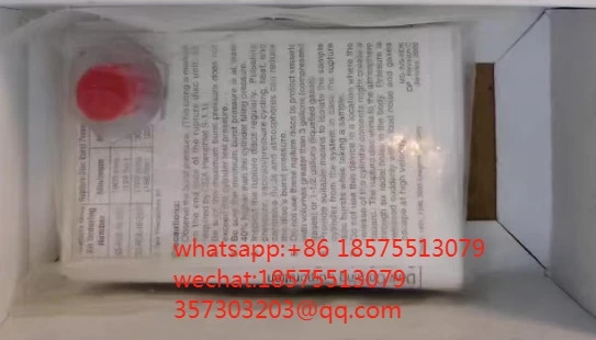 Swagelok SS-RDK-16-2850 방폭 멤브레