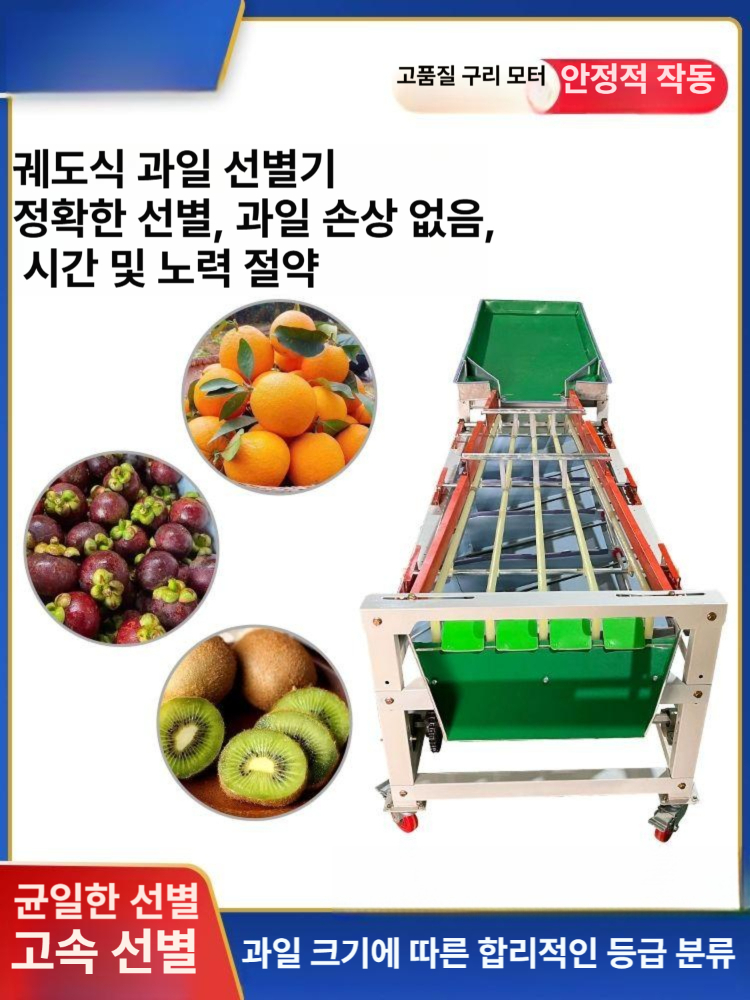 자동 과일선별기 급속 분류기 분리기 등급 조절 - 상세 이미지 3