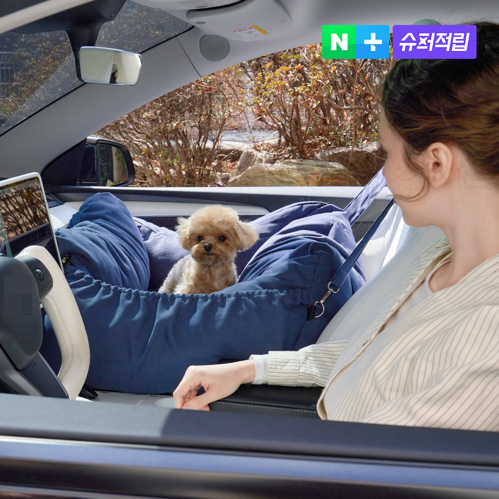 개과천선 루시 강아지 카시트 애견 반려견 대형견 중형견 애쉬블루