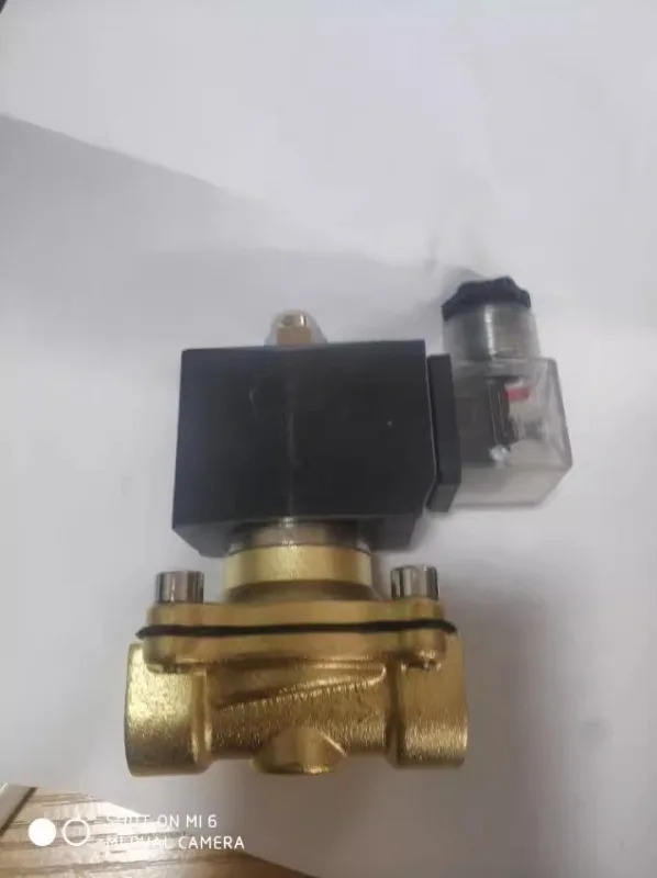 전자기 밸브 워터 비 누출 방지정상 플라스틱 밀봉 구리 와이어 코일 AC220V