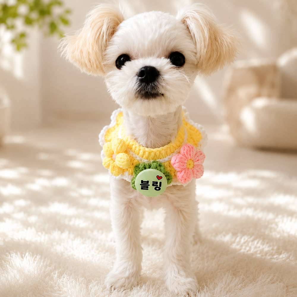강아지 고양이 야광 이름표 꽃 케이프 목걸이 맞춤 제작 - 상품 이미지