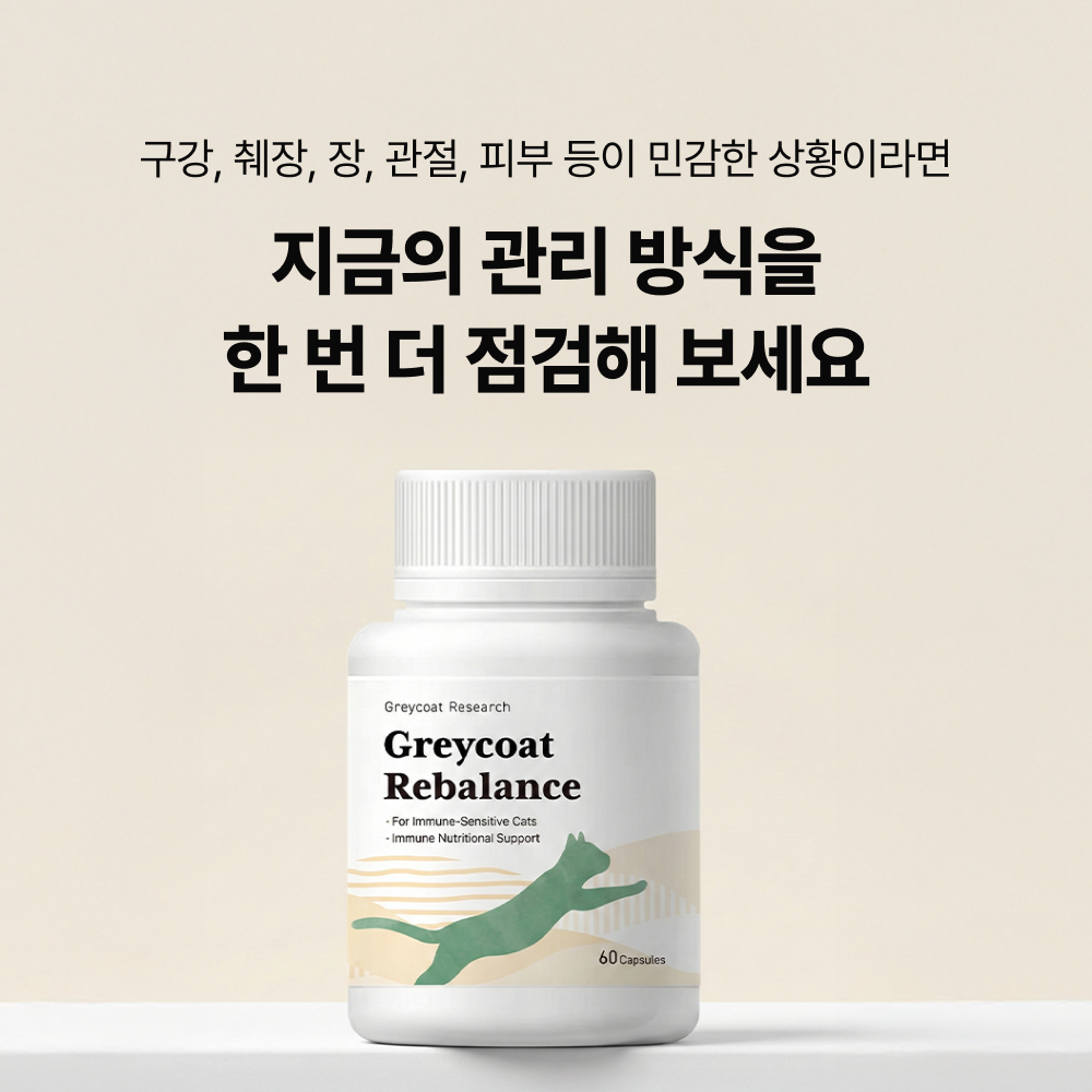 야옹섬 고양이 영양제 염증 리밸런스 구내염 췌장염 신부전관리 2개월 면역력, 60캡슐, 1개 - 상세 이미지 2