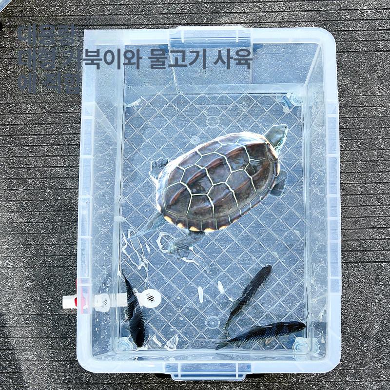 플라스틱 보관함 초대형 특대형 사각형 투명리빙박스 상자 가정용 다용도 수납박스 - 상세 이미지 4
