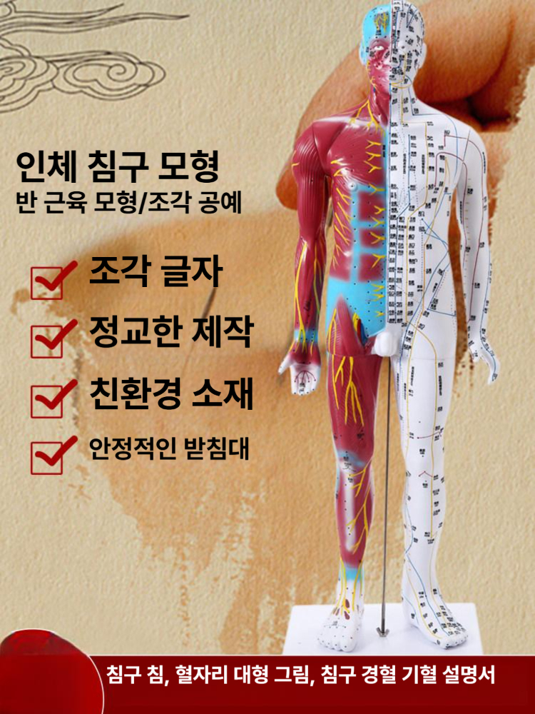 교육용 마네킹 인형 침술 남성 실습용 침구학 교구 경혈 전신 해부 연습용 얼굴 - 상세 이미지 2