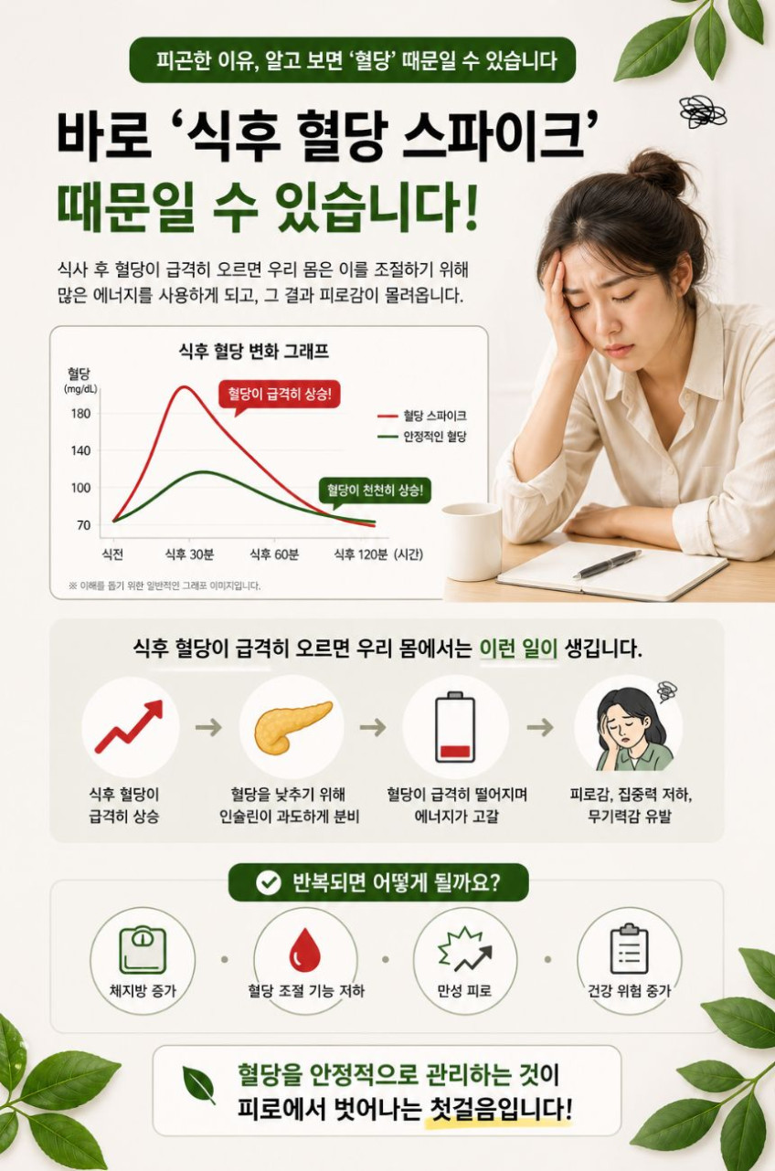 혈당관리 바나바잎추출물 식후혈당케어 음료 닥터워터 당밸런스 500ml 20병 판매처 상세 정보 이미지 3