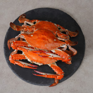 K꽃게 어부가 직접 판매하는 숫꽃게 / 1kg 급냉 맛있게 먹은 솔직 후기 - 상품 이미지 2