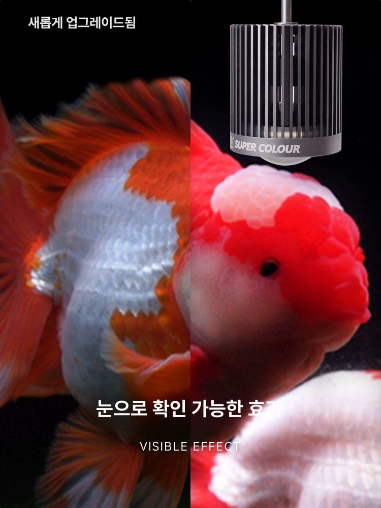 스팟 조명 라이트 타이머 식물용 디밍 색상 원격 - 상세 이미지 4