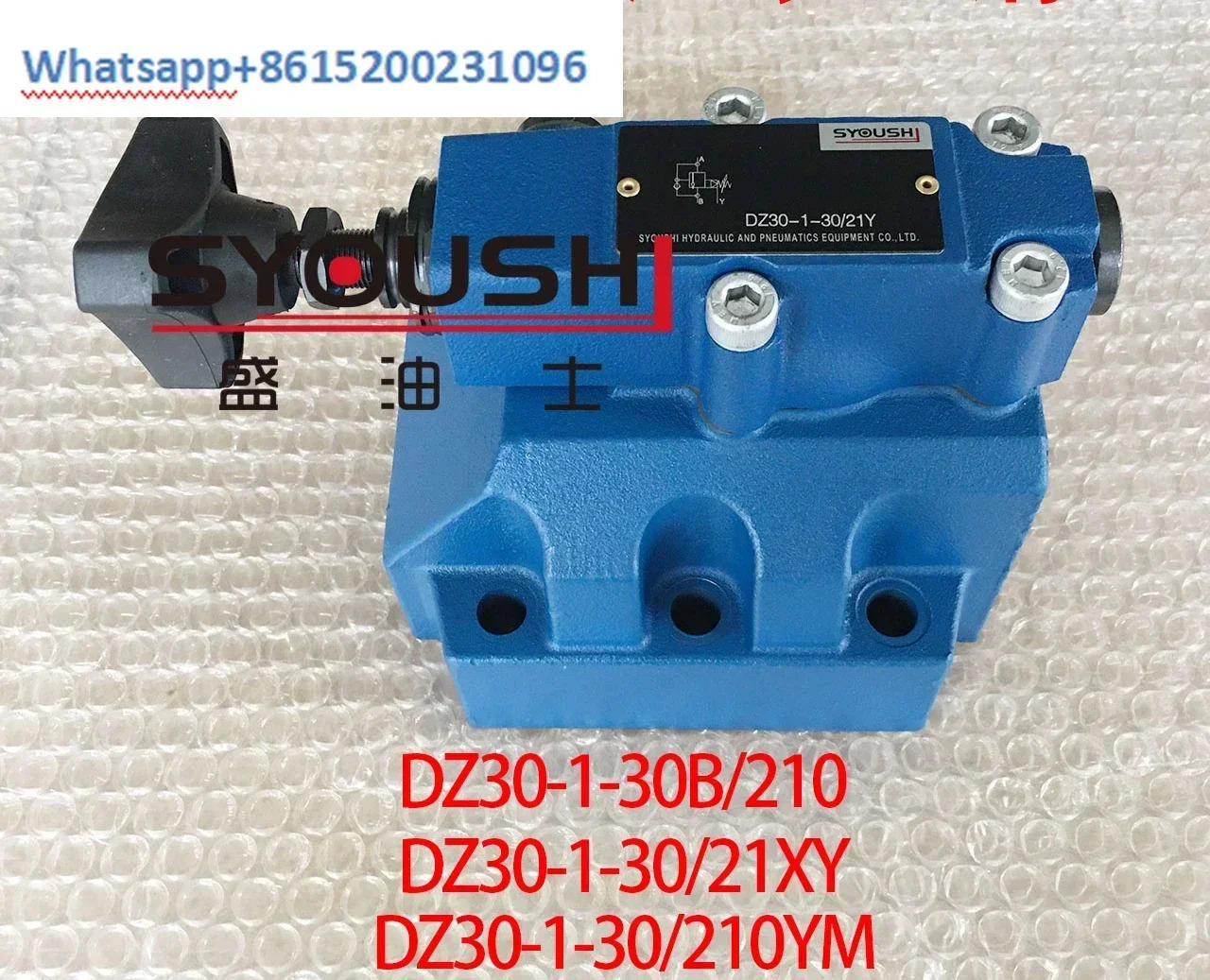 순차 밸브 DZ30-1-30B/210 DZ30-1-30/21XYDZ30-1-30/210YM