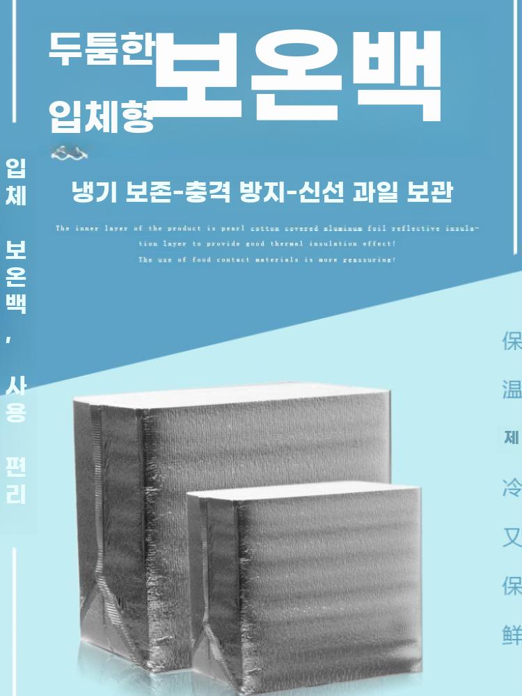 은박 보냉봉투 냉동 신선식품 보관 보냉백 대용량 벌크 1 19x8x20 - 상세 이미지 2
