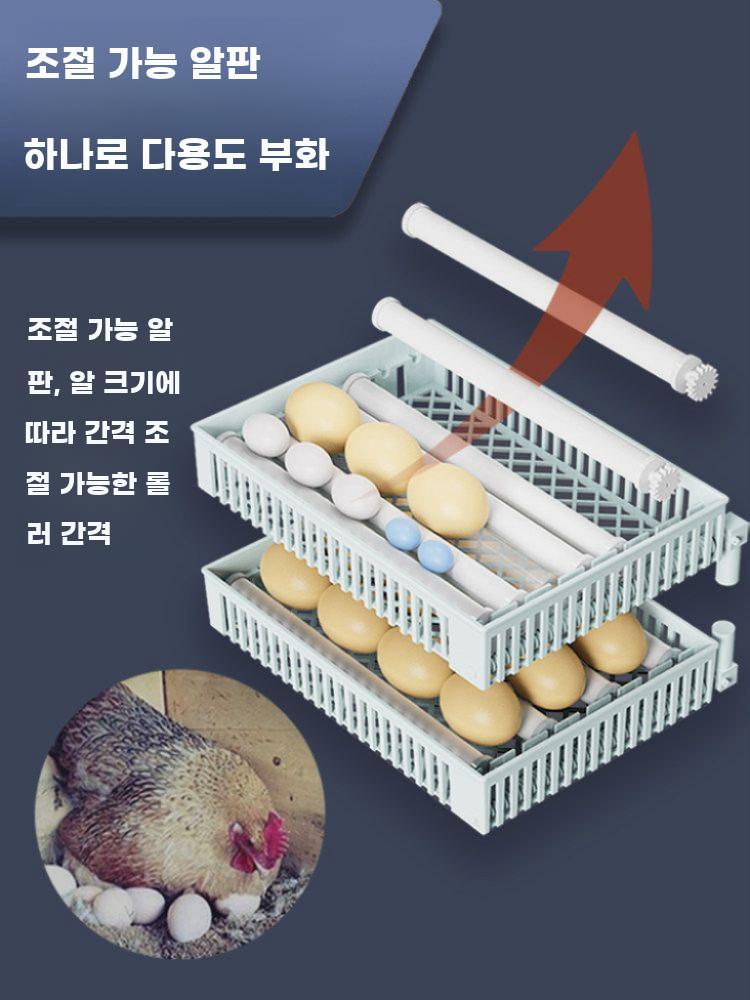 자동 병아리부화기 알 인큐베이터 조류 육추기 온도조절 계란 24구 단일전기 8롤러 - 상세 이미지 5
