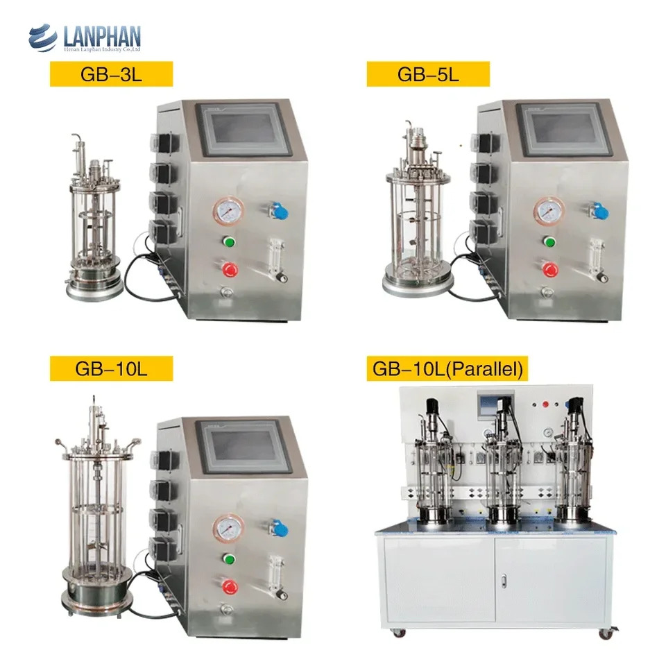 Lanphan Benchtop 유리 발효기 생물 반응기 미생물 5l 10l 20l 30l