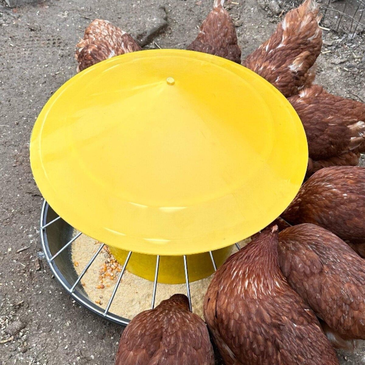 자동 모이통 여물통 피더기 먹이통 사료통 병아리 닭모이 축사 새모이 양계 농장 - 상세 이미지 4